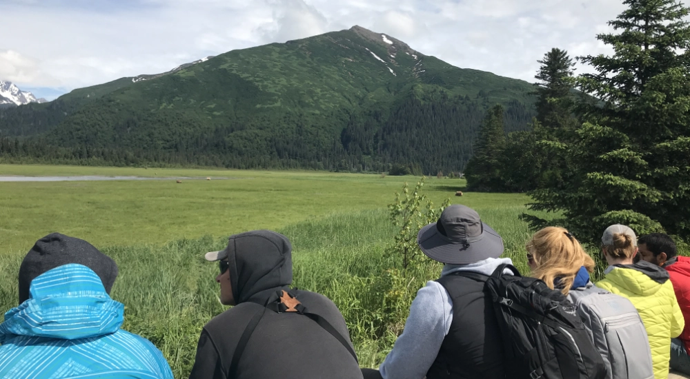 Bear Viewing Tours Homer 2 1000×550