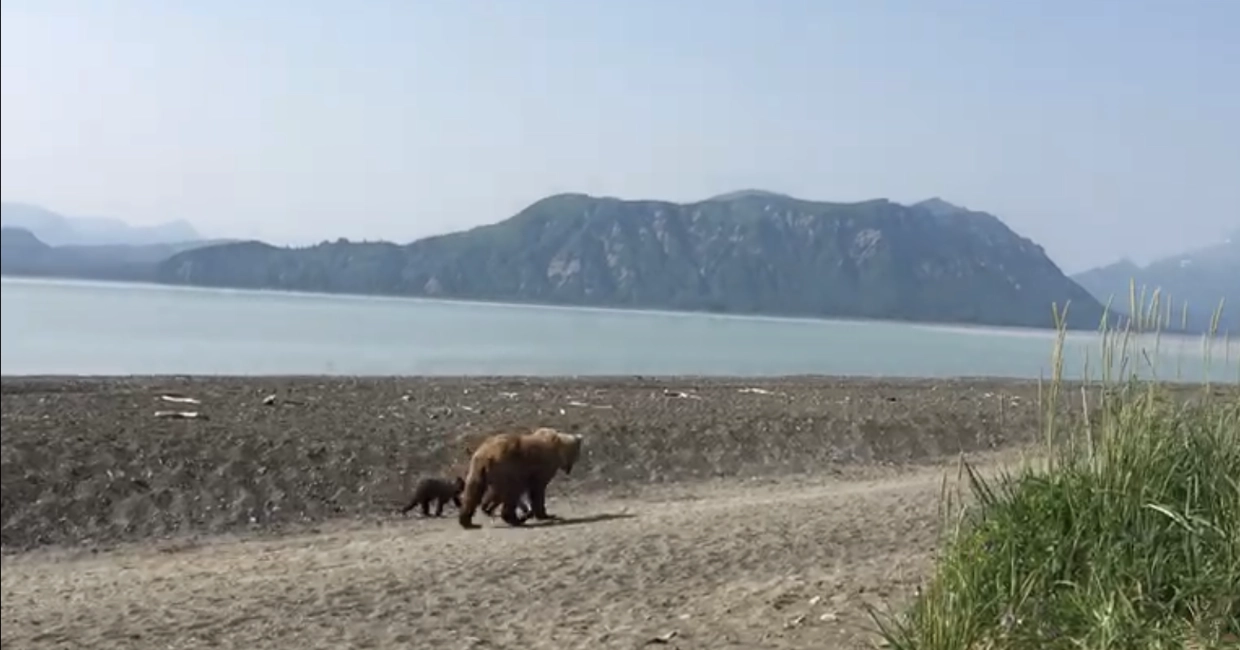 Destinations 1240×650