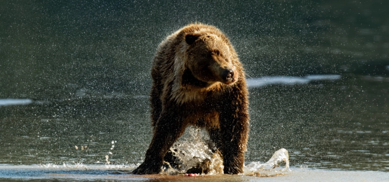 How Long Are Tours 1240×580