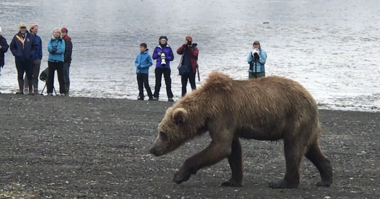 Small Group Tours 1240×650
