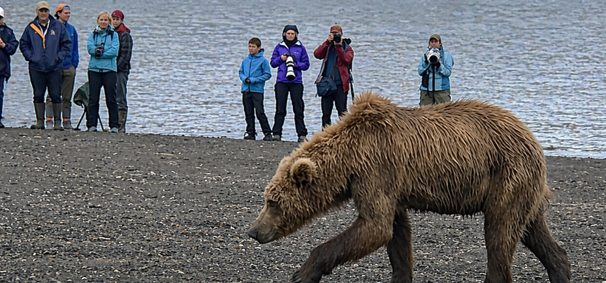 Small Groups 1240×580