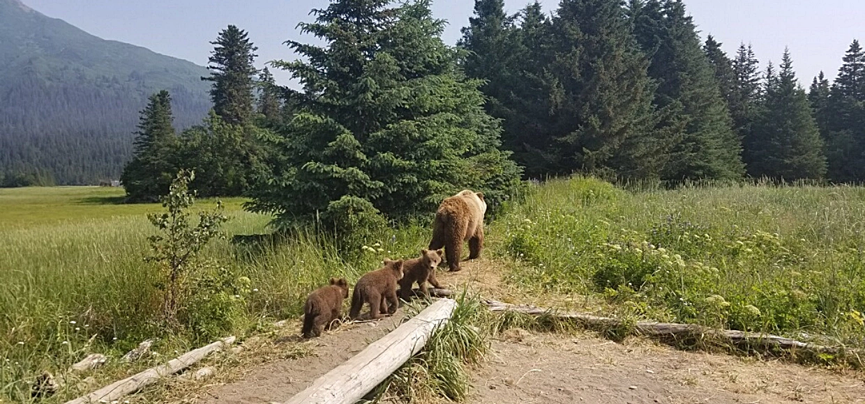 What Makes Our Tours Different 1240×580