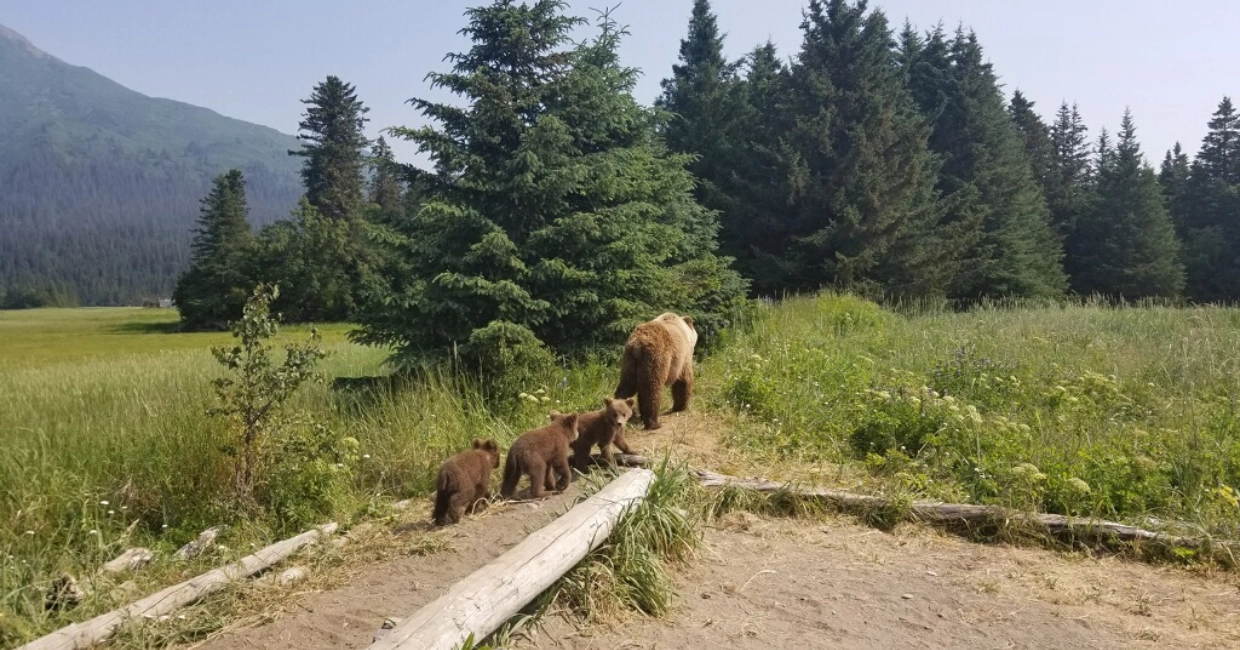 What Makes Our Tours Different 1240×650