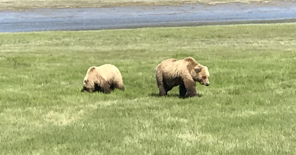 Why Are Our Tours Guided 1240×650