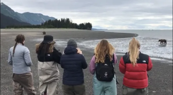Bear Viewing Tours Homer 1000×550